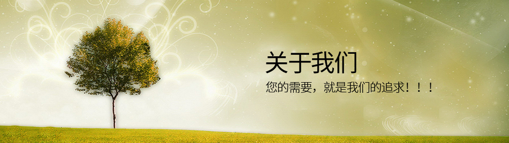 響應(yīng)式網(wǎng)站建設(shè)